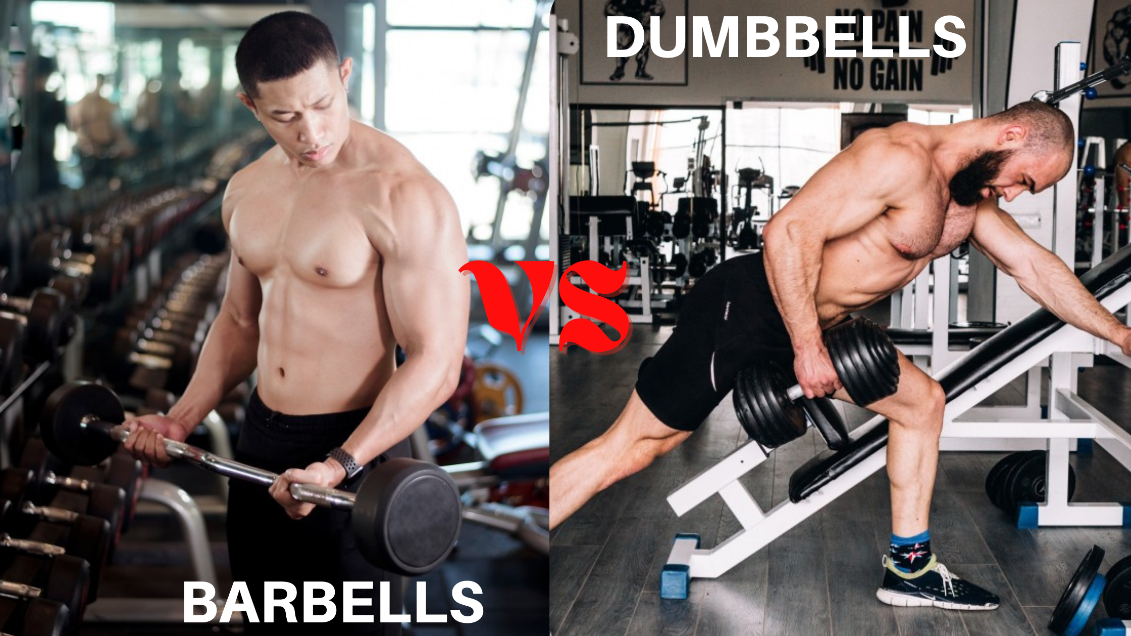 dumbbells vs barbells